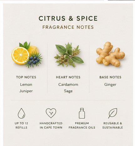 Rich Aunties Esthetics – The Rich Uncle Luxury Car Diffuser & Refill Gift Set – Citrus & Spice (10ml Car Diffuser + 125ml Refill)